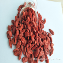 Ningxia Low residues Goji berry Chinese wolfberry